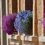 Belsky Dvur Guest house Bely